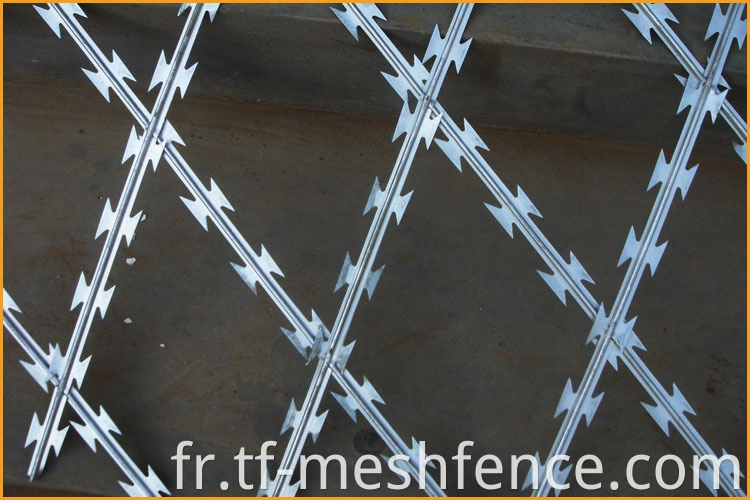welded concertina razor wire mesh 3